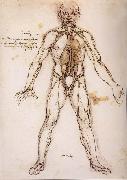 LEONARDO da Vinci You branching of the Blutgefabe, anatomical figure with heart kidneys and Blutgefaben Germany oil painting artist